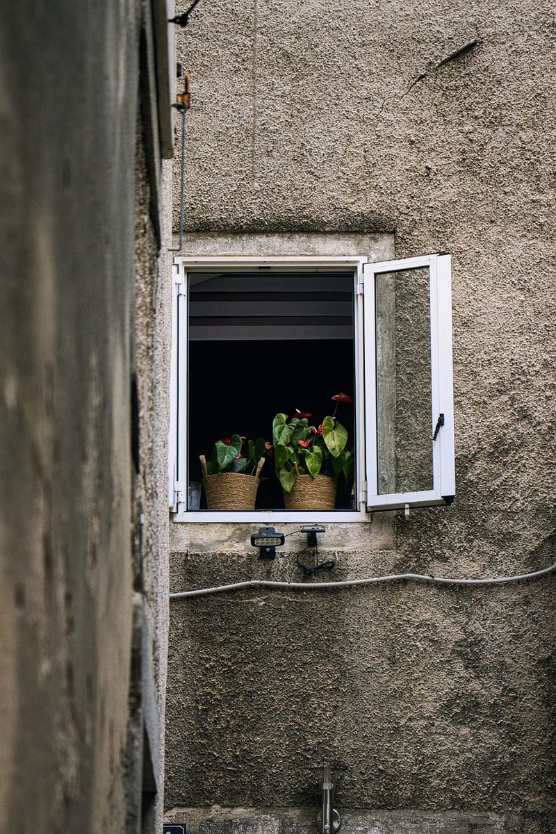 Balcony Gardening